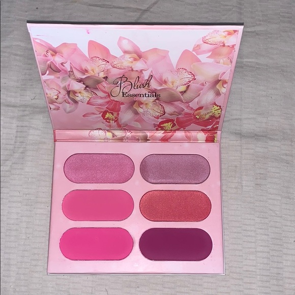 Other - Blush Makeup Palette